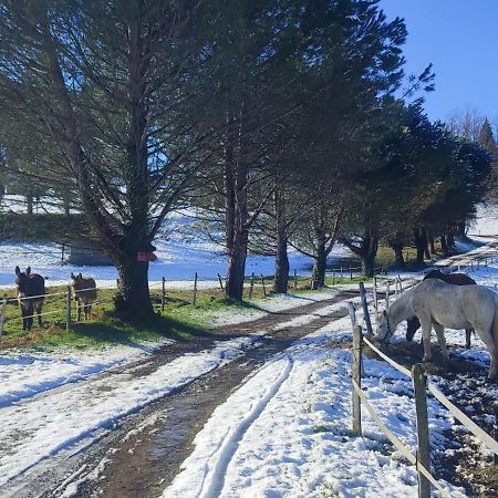 Domaine Le Lanis "Cabane De Pauline" Сен-Жирон Екстериор снимка