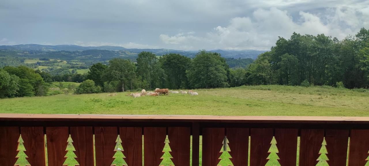 Domaine Le Lanis "Cabane De Pauline" Сен-Жирон Екстериор снимка