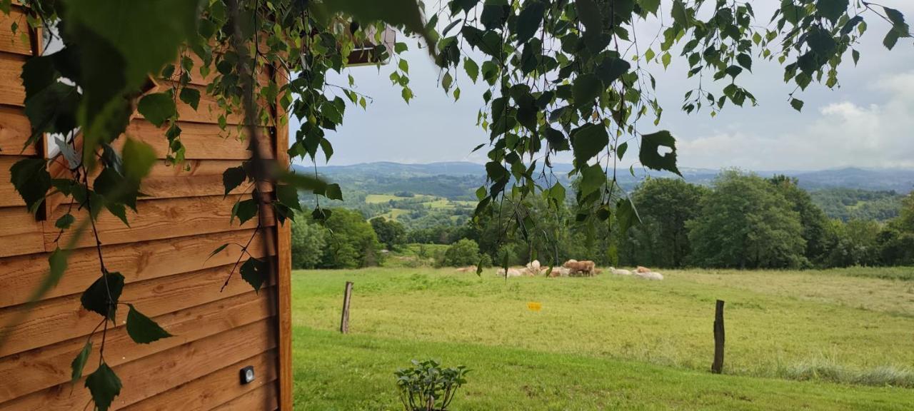 Domaine Le Lanis "Cabane De Pauline" Сен-Жирон Екстериор снимка