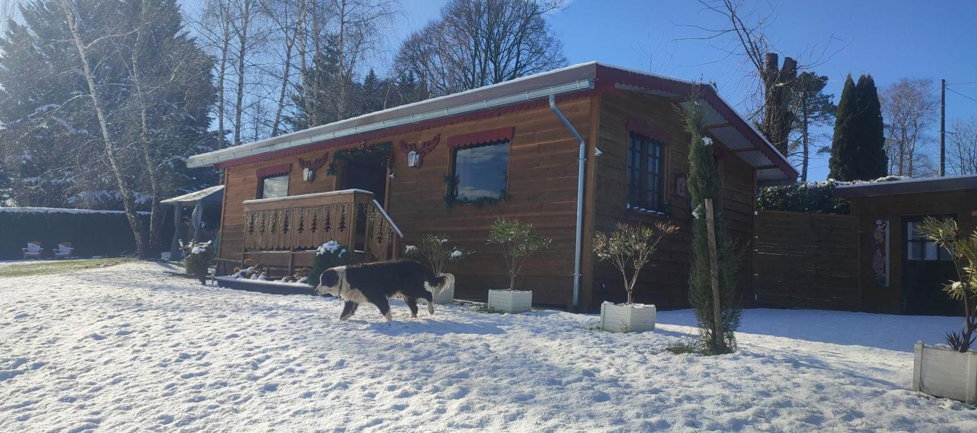 Domaine Le Lanis "Cabane De Pauline" Сен-Жирон Екстериор снимка