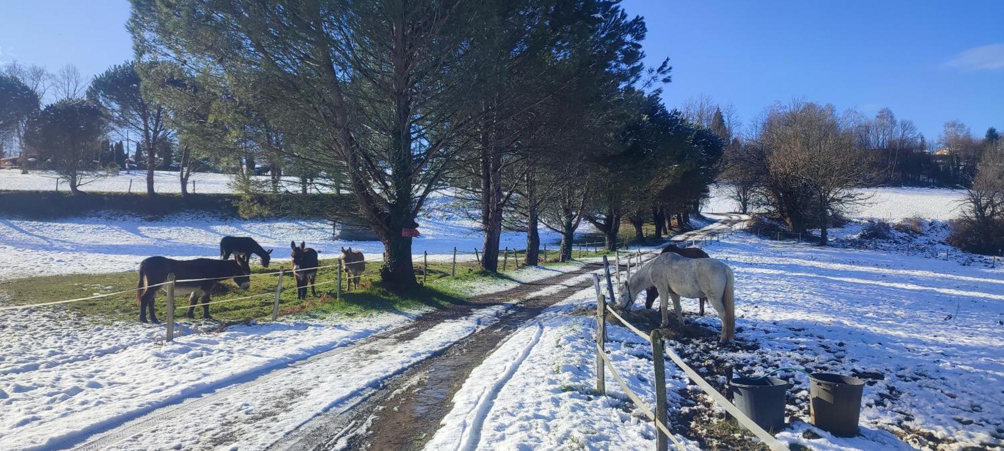 Domaine Le Lanis "Cabane De Pauline" Сен-Жирон Екстериор снимка
